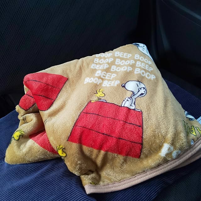 KOHAKUさんの実例写真