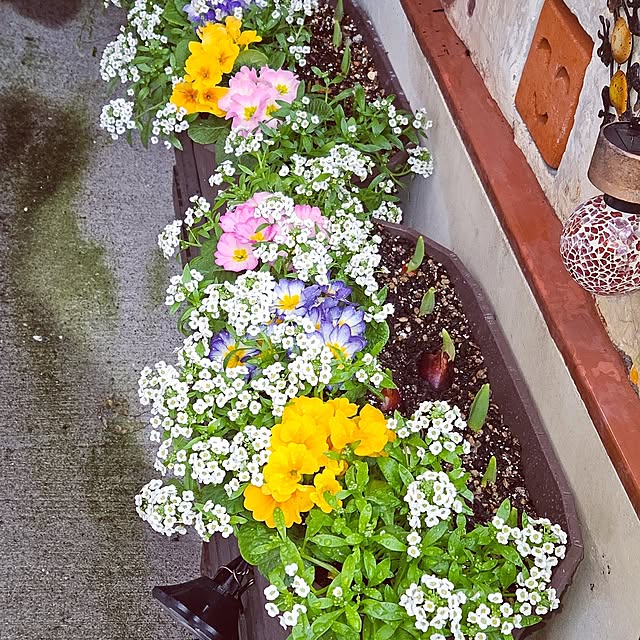mocomocoさんの部屋
