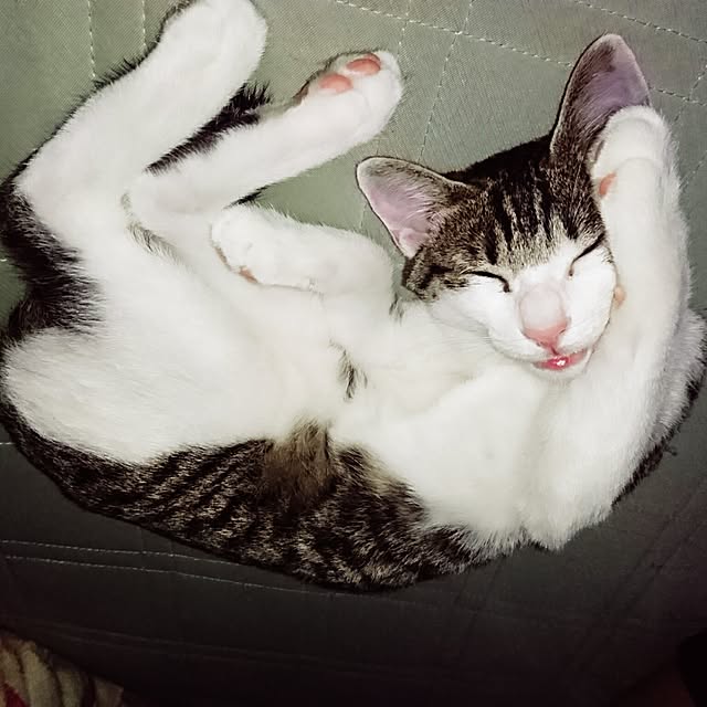 kiraさんの実例写真