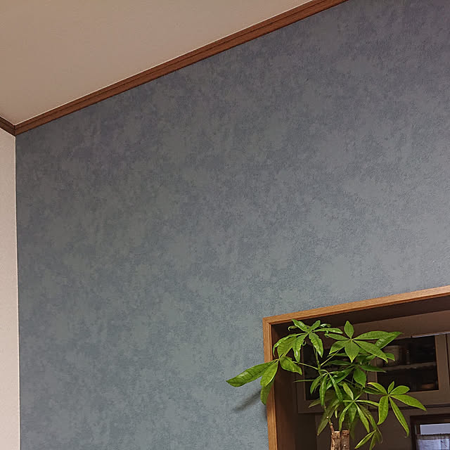 saoriさんの実例写真