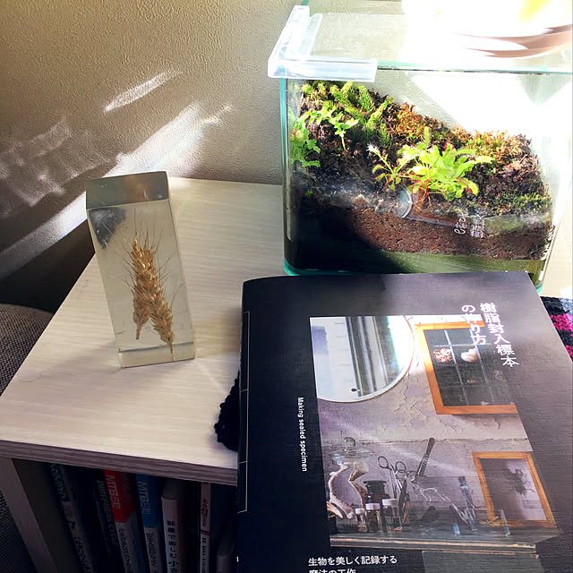 nanaさんの実例写真