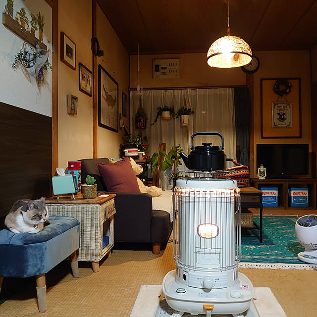 fukuさんの実例写真
