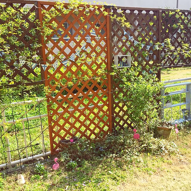 kusuttoさんの実例写真
