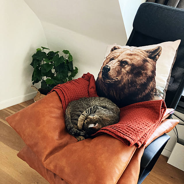 kimiさんの実例写真