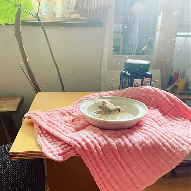 hayuchiさんの実例写真