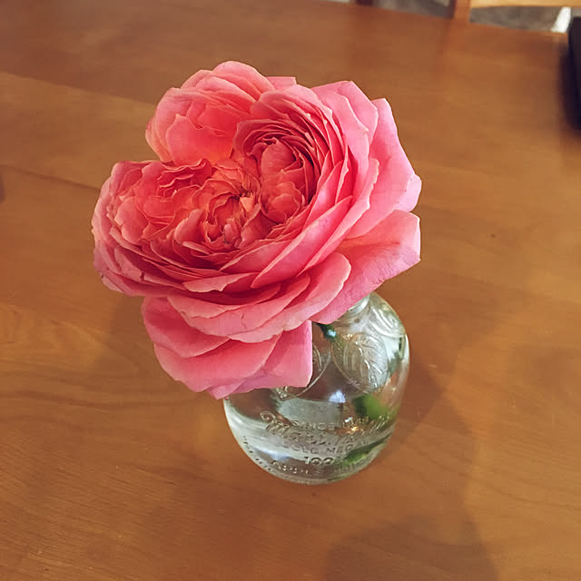 Matsuさんの実例写真