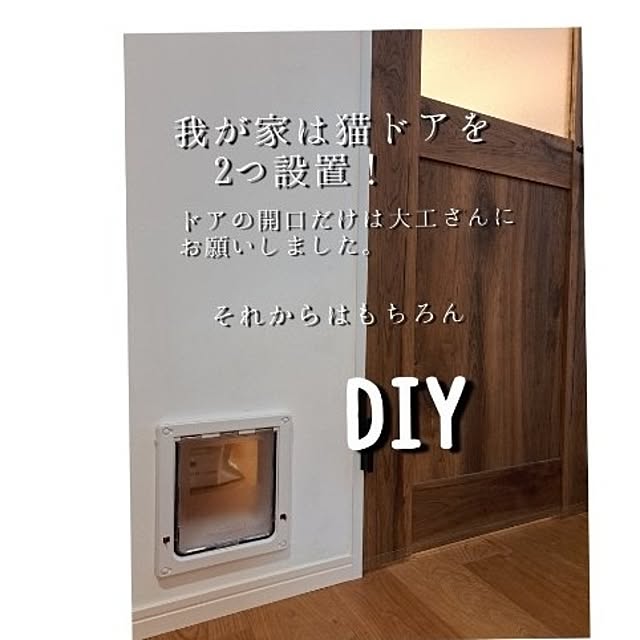 kankanmom_horn_5catsさんの部屋