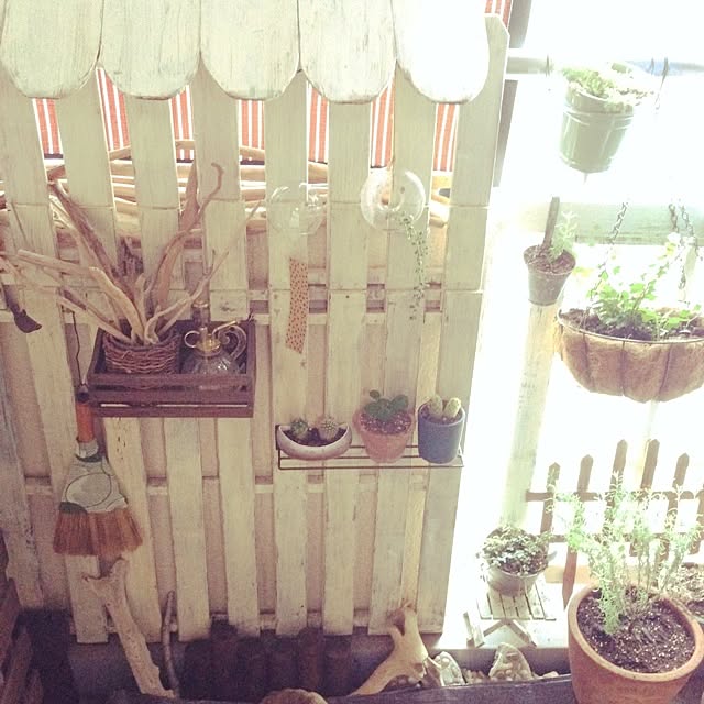booooono_poofさんの実例写真
