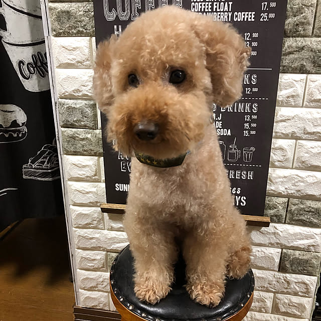 ronmaruさんの実例写真