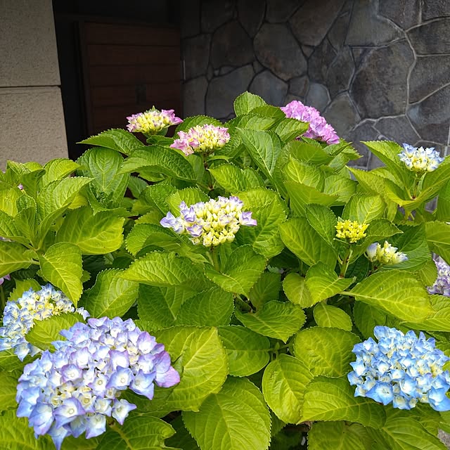 yukunさんの実例写真
