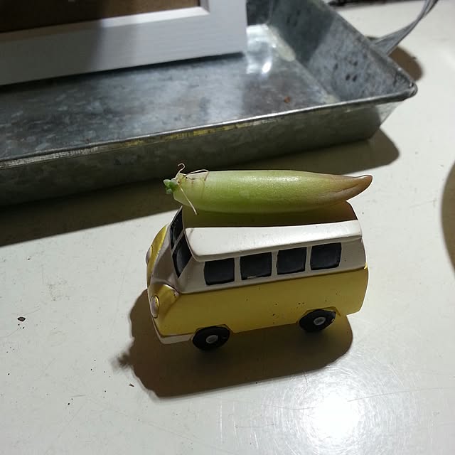 onmenさんの実例写真