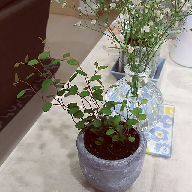 KOHAKUさんの実例写真