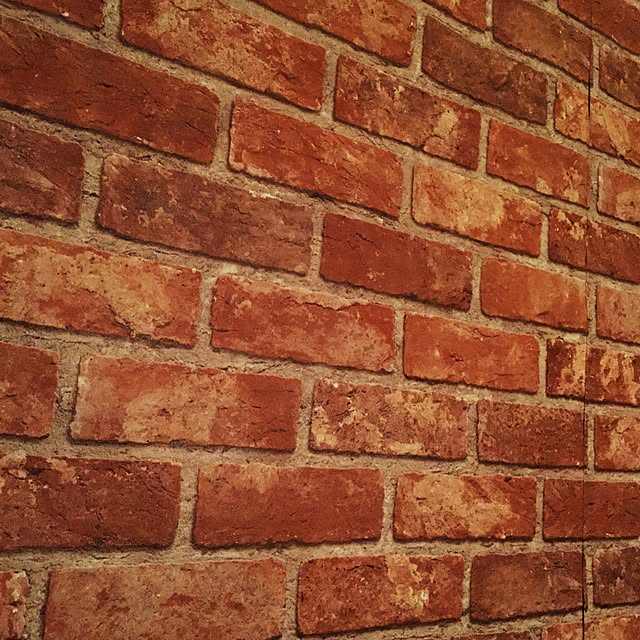 MajimaTaigiさんの実例写真