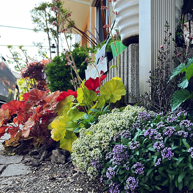 yukarin-gardenさんの実例写真