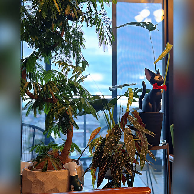 ttさんの実例写真