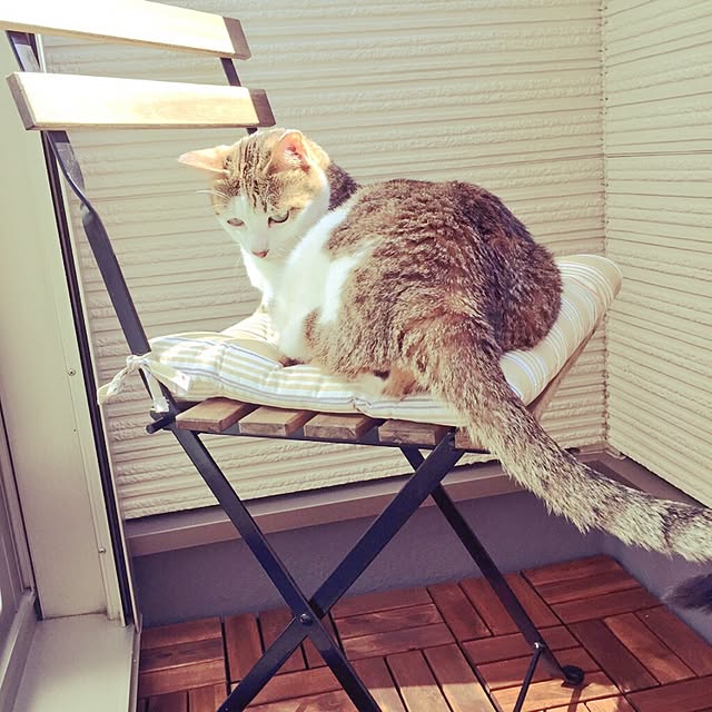 minaさんの実例写真