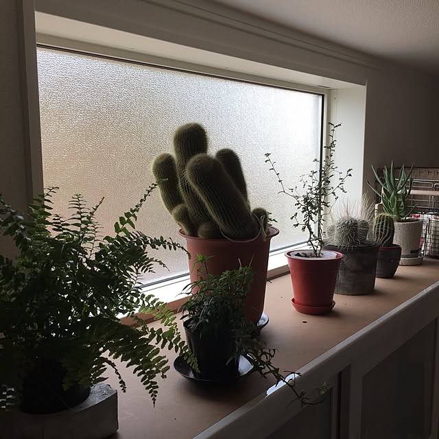 M.okuさんの実例写真