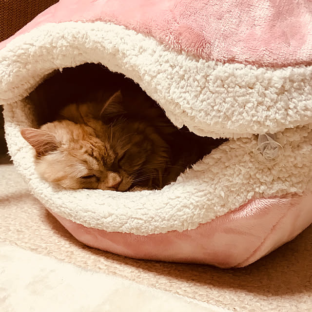 roseさんの実例写真