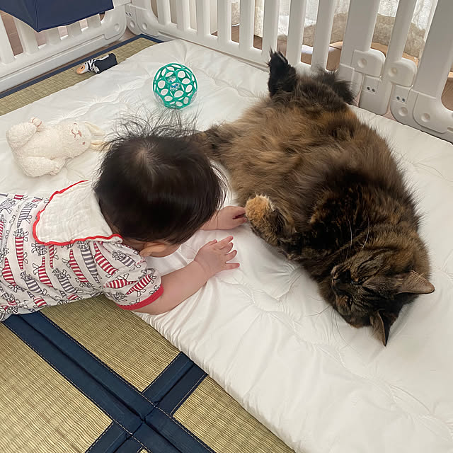 mikomaruさんの実例写真