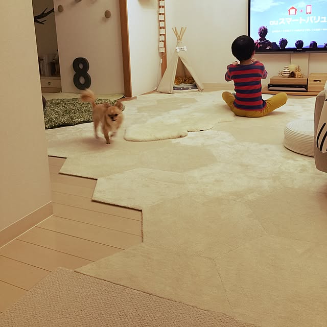 haruhinaさんの実例写真