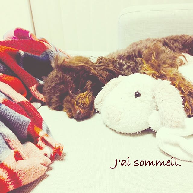 merryさんの実例写真