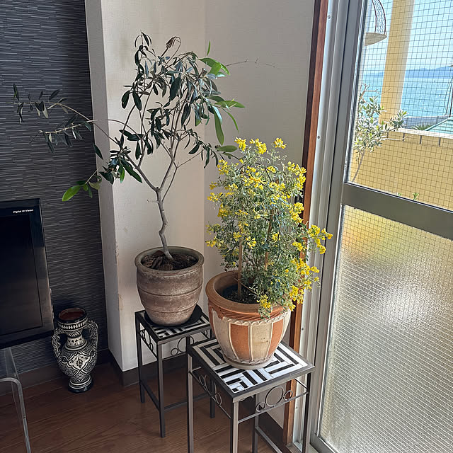 nahocさんの実例写真