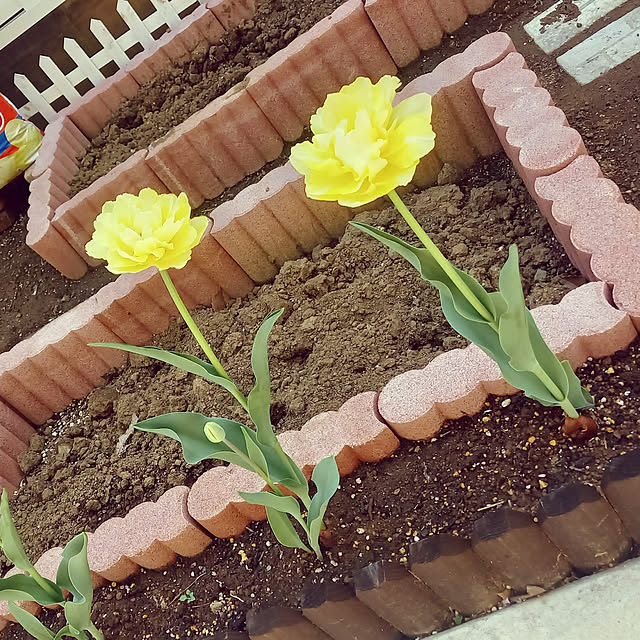 Taku38さんの実例写真