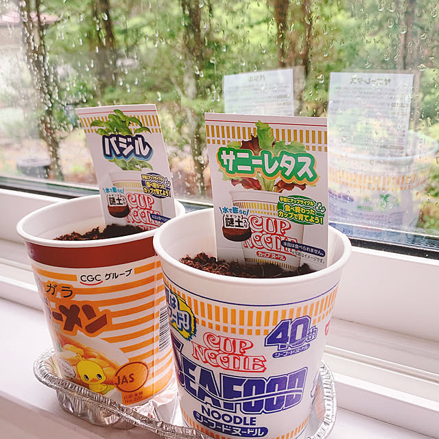 miemekkoさんの部屋