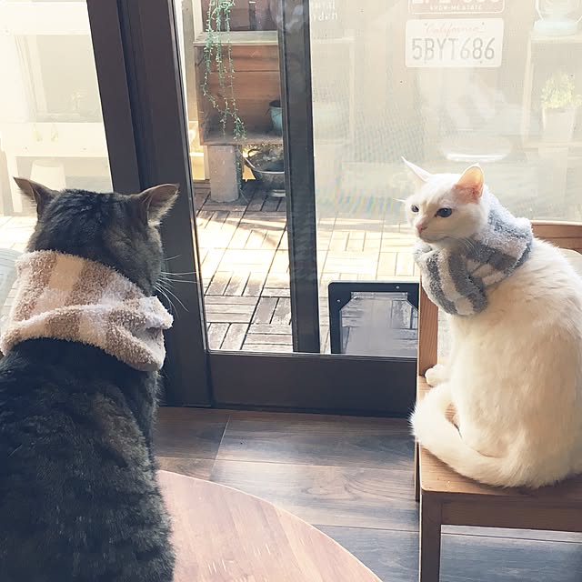 Miechamさんの実例写真