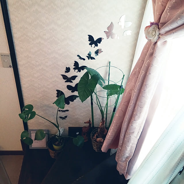 Tさんの実例写真