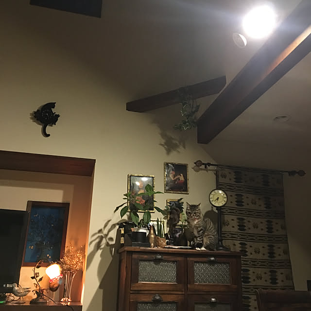 shigimiさんの実例写真