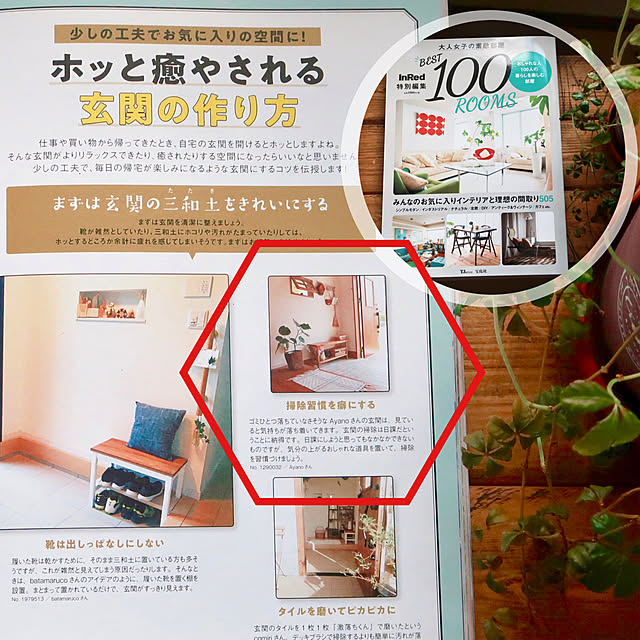 Ayanoさんの実例写真