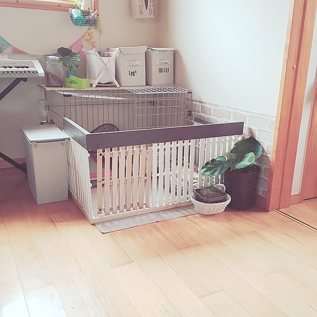 makoriさんの実例写真