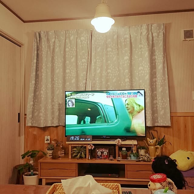 ha-sanさんの実例写真