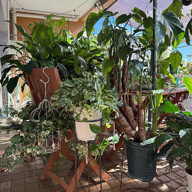 Aqettyさんの実例写真