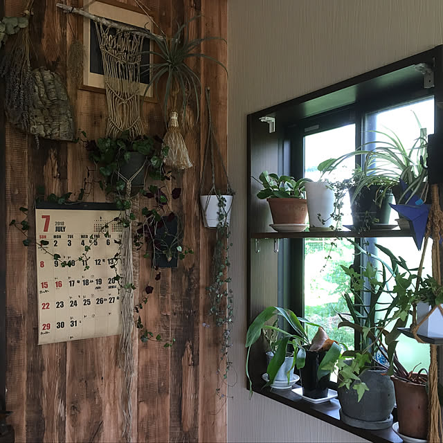 Dyさんの実例写真