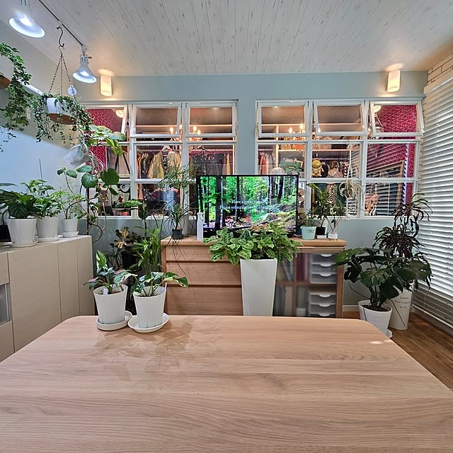 nonbiri_house_さんの部屋