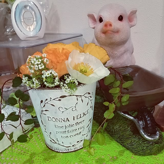 mocomocoさんの部屋