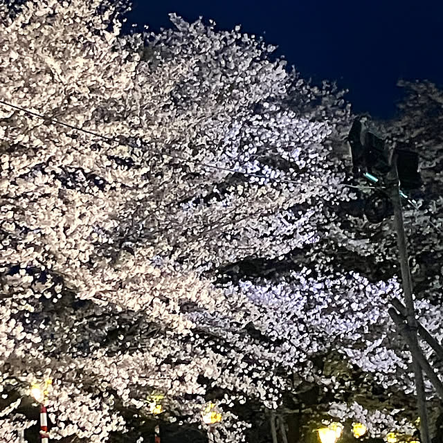 maimaiさんの部屋