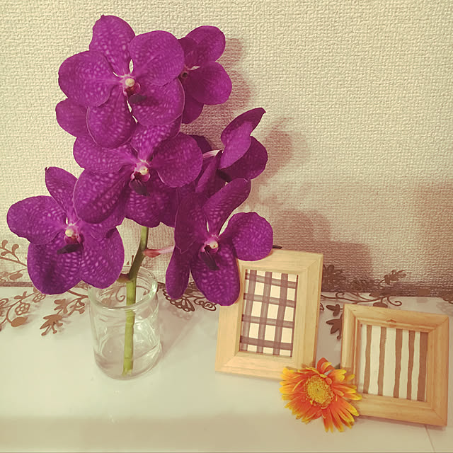 sakanaさんの実例写真