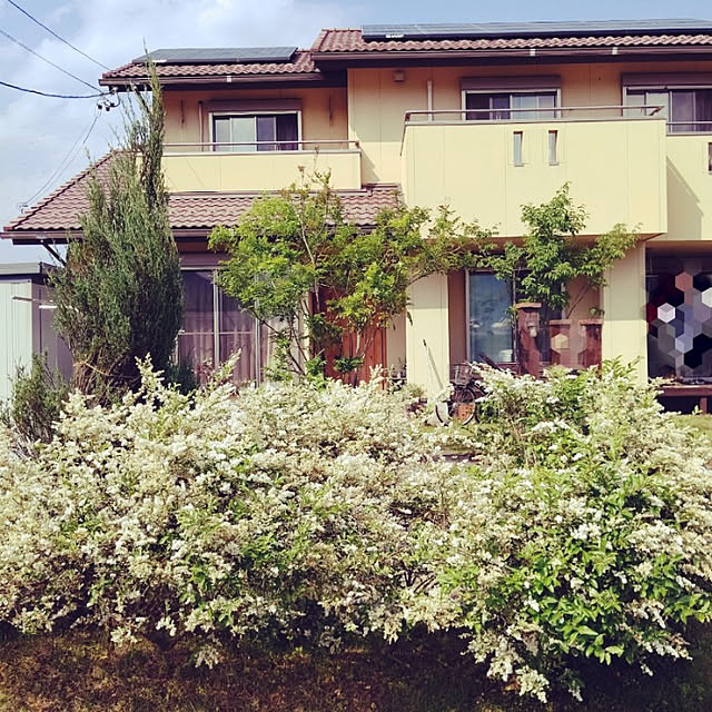 marronさんの実例写真