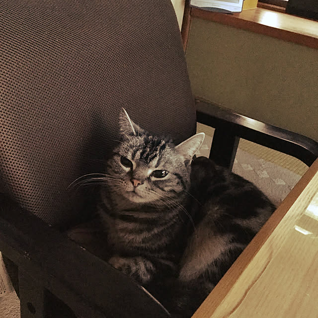 richanさんの実例写真