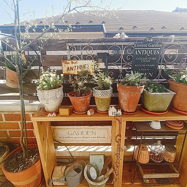 chikuwaさんの実例写真