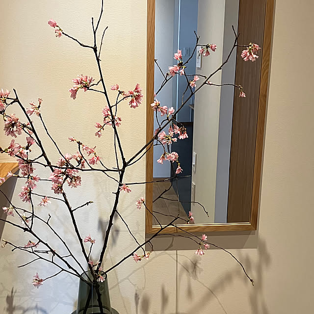 thhk1112さんの実例写真