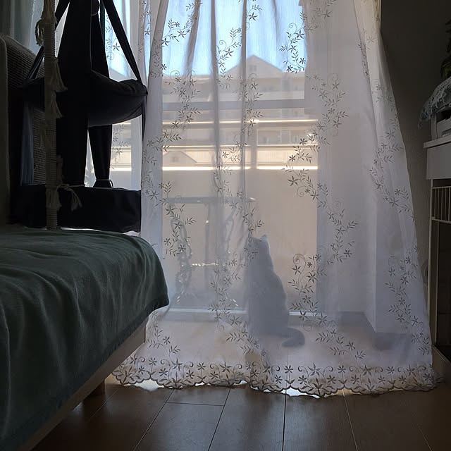 fionaさんの実例写真