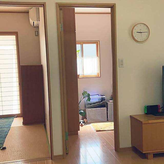 stellaさんの実例写真