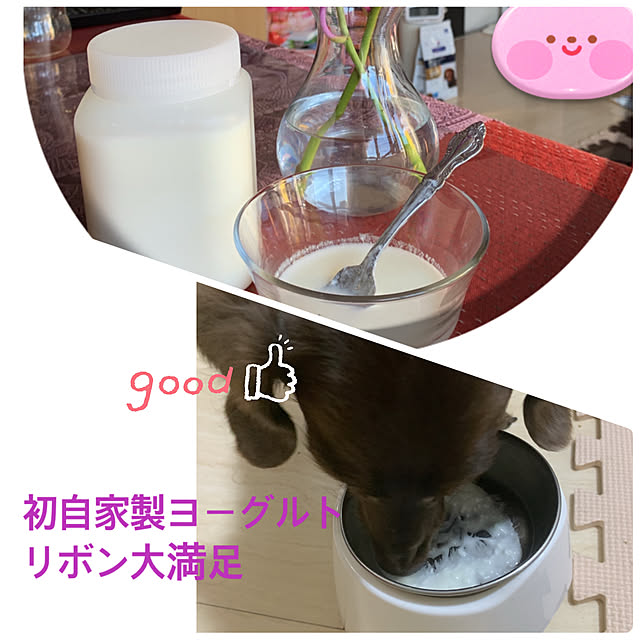 eshinobumさんの実例写真