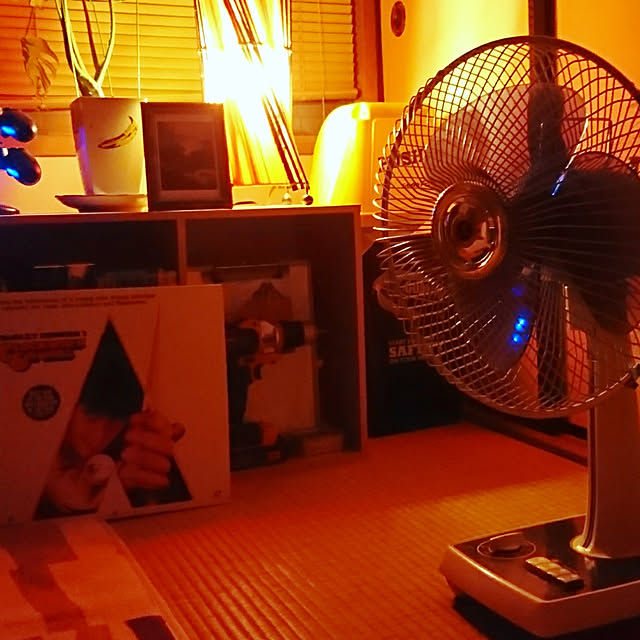 hariou_999さんの実例写真