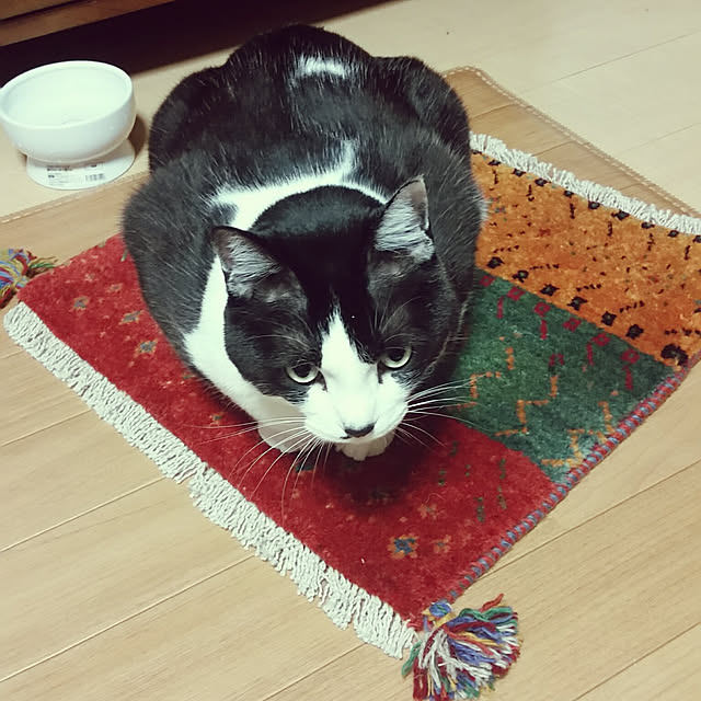minaminamiさんの実例写真
