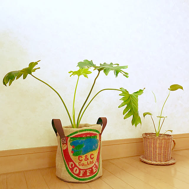 oyoさんの実例写真